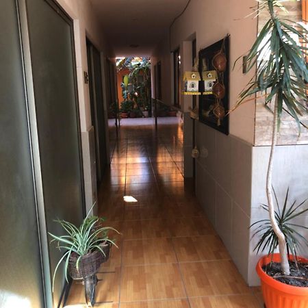 Casa Alejandra Apartment Antofagasta Ngoại thất bức ảnh